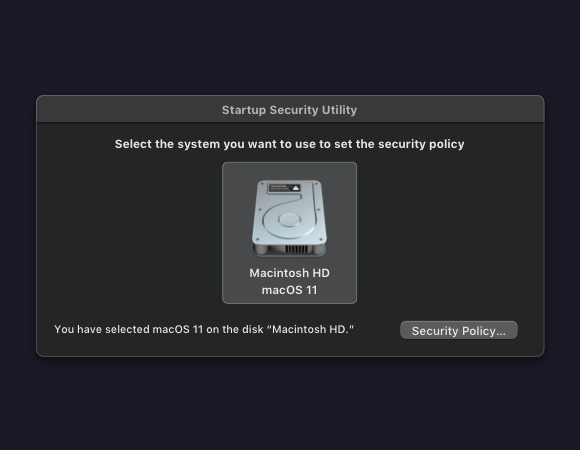 mchip-slide11.png