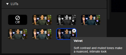 camera_hub_LUT_download_into_section.png